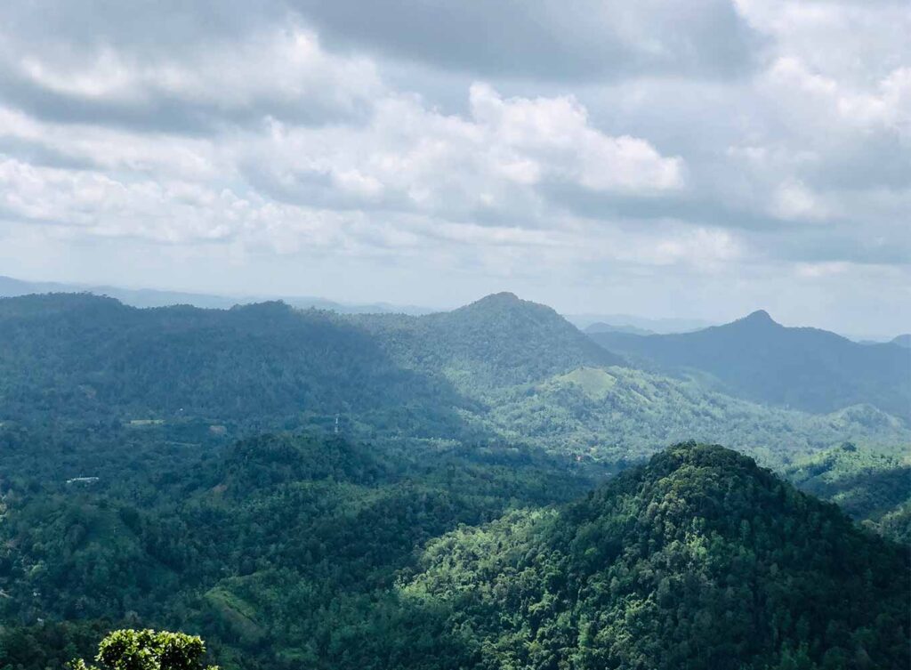 Kanneliya Rain Forest