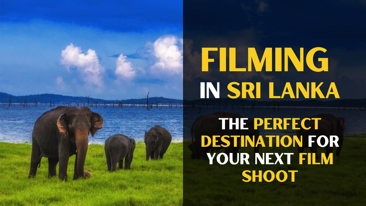 Filming in Sri Lanka: The Perfect Destination for Your Next Film Shoot