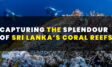 Capturing the Splendour of Sri Lanka’s Coral Reefs