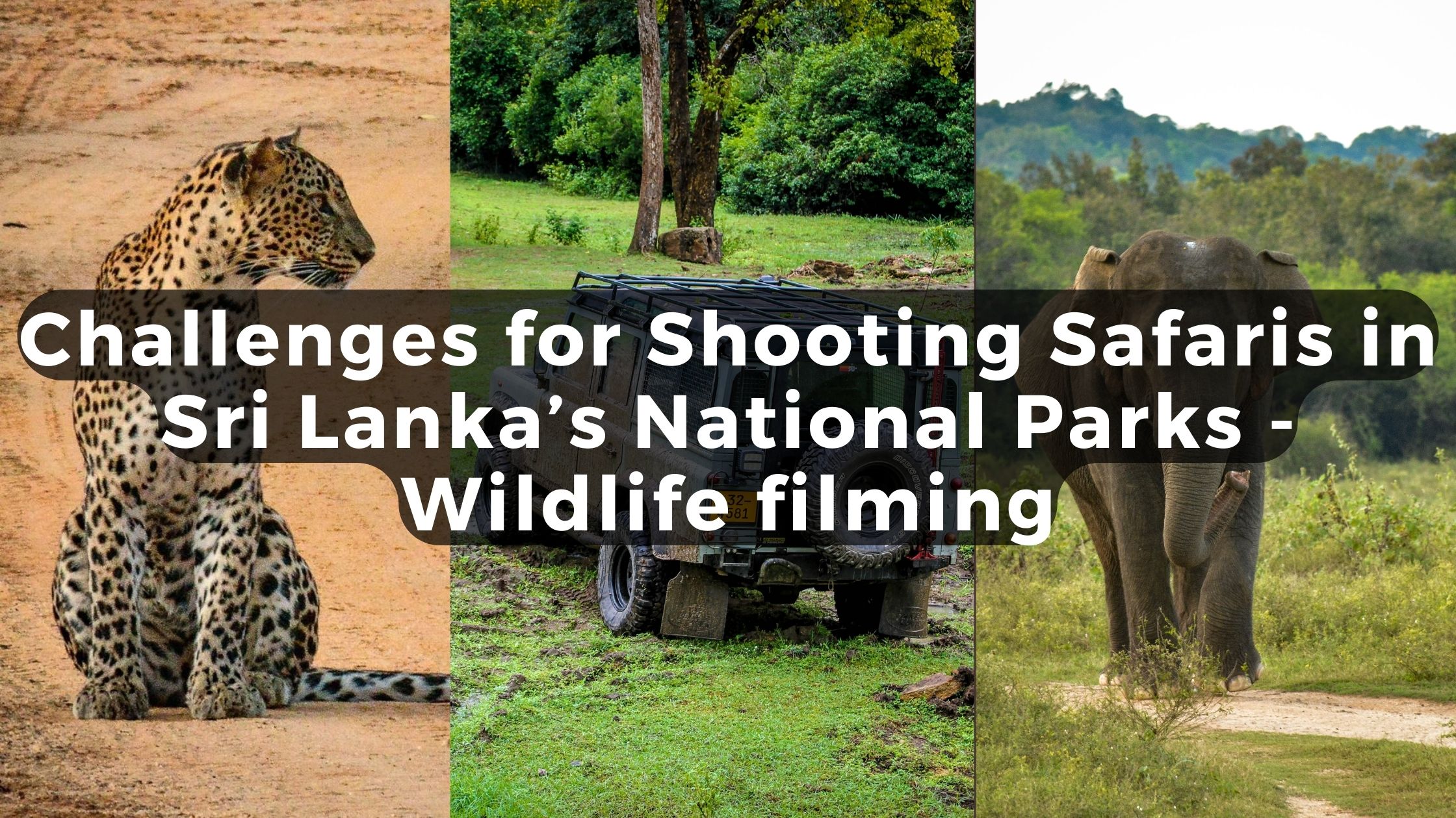 Challenges for Shooting Safaris in Sri Lanka’s National Parks -Wildlife filming